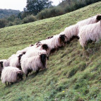 Pyrenees walking tours