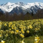 Pyrenees walking tours