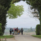 Pyrenees walking tours