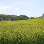 Pyrenees walking tours