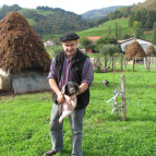 Pyrenees walking tours