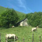 french walking tours pyrenees 2