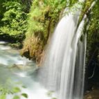 french walking tours pyrenees 2