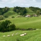french walking tours pyrenees 2