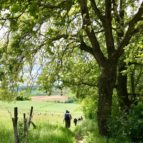 french walking tours pyrenees 2