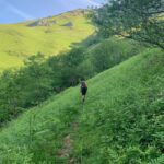 Solo Tour - Walking Tours Pyrenees France